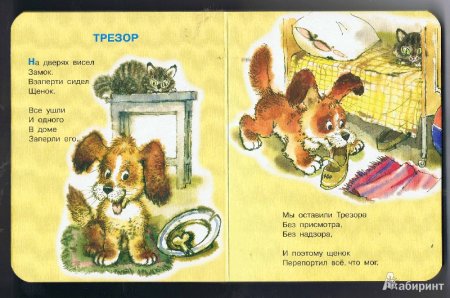 Трезор Михалков 1 класс