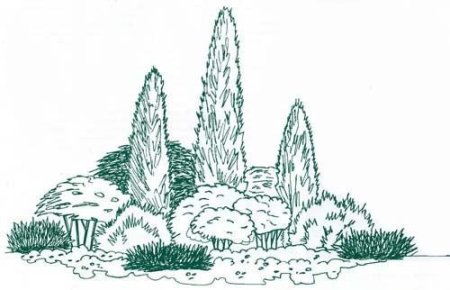 Рисуем композиции с хвойными