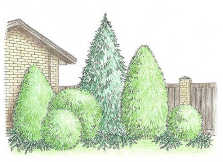 Изображения деревьев и кустарников