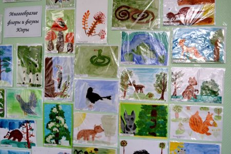 Биоразнообразие животных