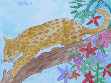 Рисунки природы и животных