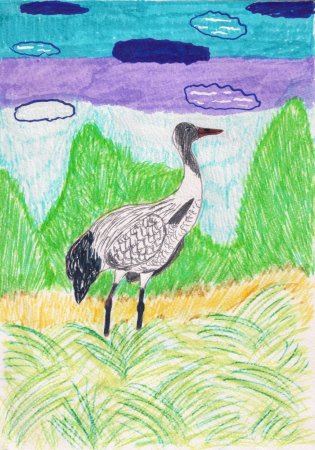 Рисование растительный мир