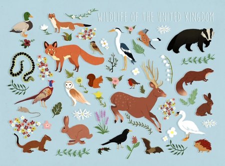 Заповедник рисунок