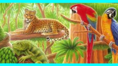 Болото рисунок