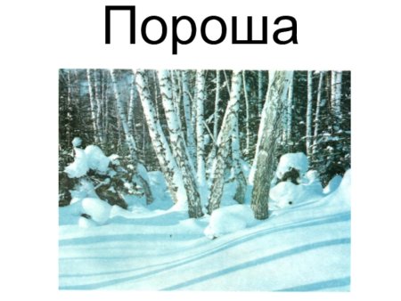 Рисунок к стихотворению пороша