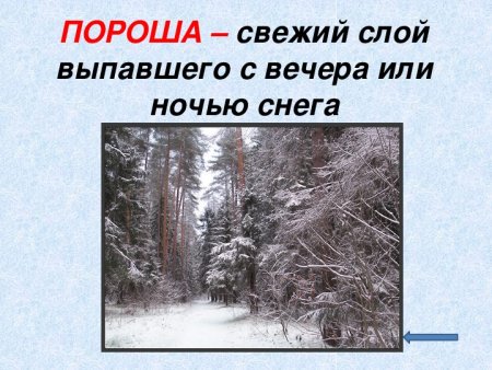 Иллюстрация к стихотворению Есенина пороша