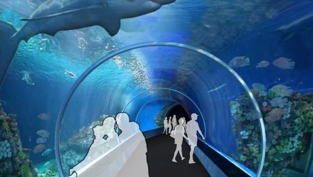 Океанариум рисунок