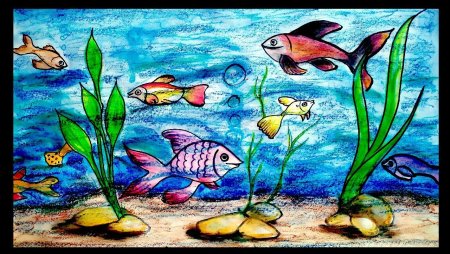 Аквариум изо
