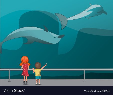 Океанариум вектор