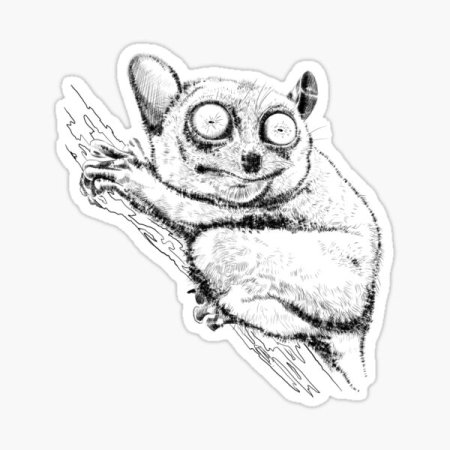 Долгопят раскраска