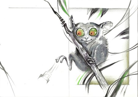 Долгопяты рисунок лёгкий