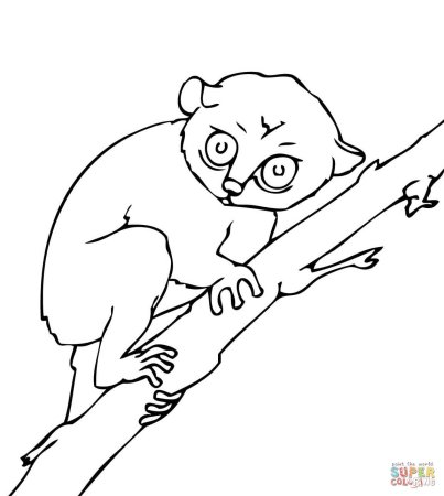 Долгопят раскраска для детей