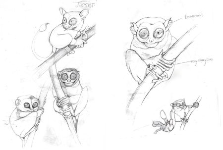 Долгопят рисунок