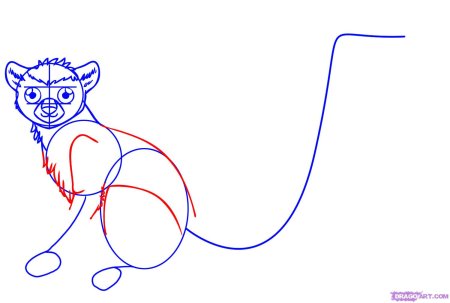 Мультяшная долгопят