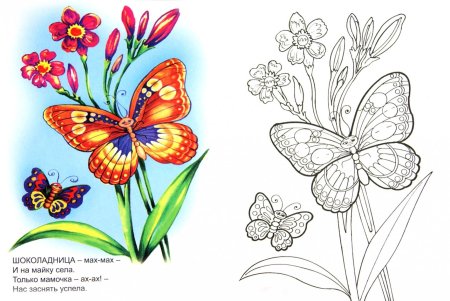 Цветы раскраска для детей цветные