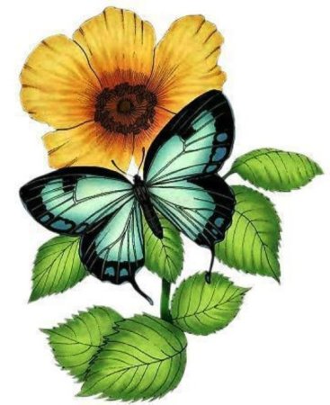 Бабочка на цветке рисунок