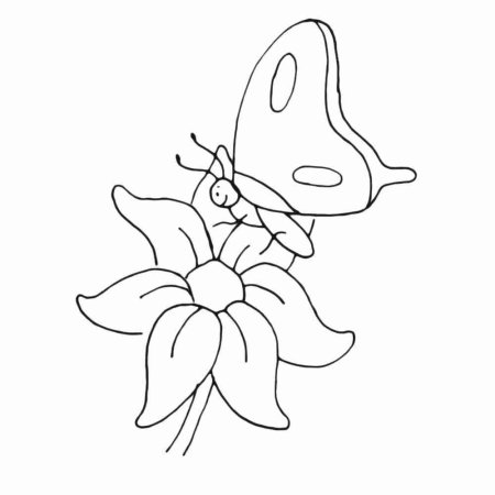 Раскраски для детей цветы и бабочки