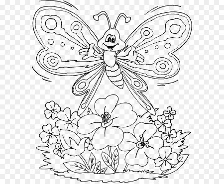 Цветы и бабочки. Раскраска