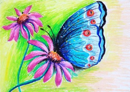 Раскраска "бабочки"