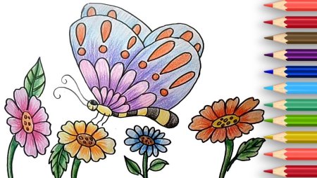 Бабочка цветными карандашами для детей