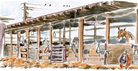 Конюшня рисунок