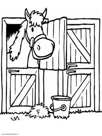 Конюшня на белом фоне