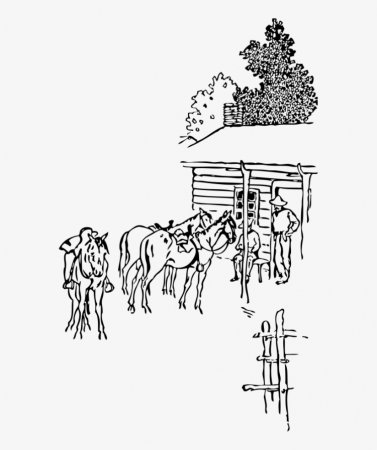 Раскраска лошадь с седлом