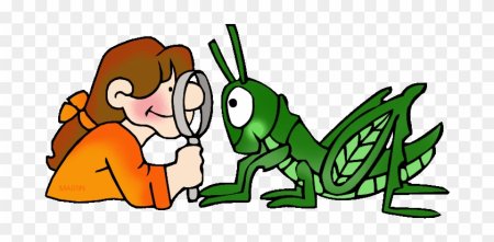 Мультяшная биология