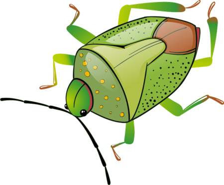Жук клипарт