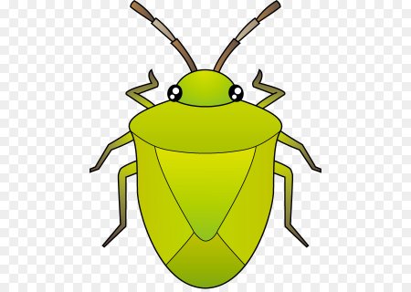 Клоп рисунок