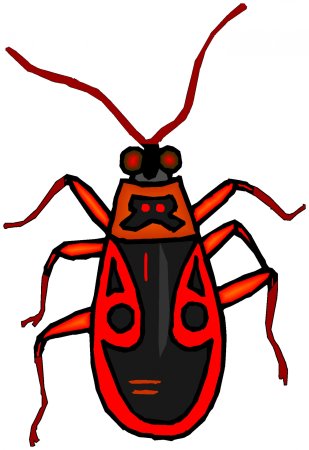 Клоп солдатик