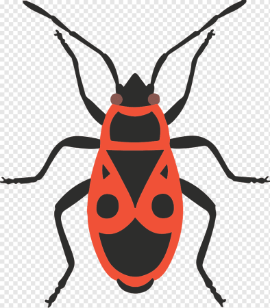 Клоп солдатик для детей