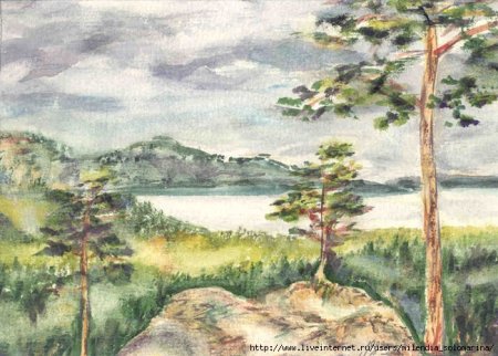 Рисунок карандашом Боровое