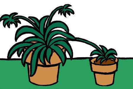 Рисование комнатные растения хлорофитум