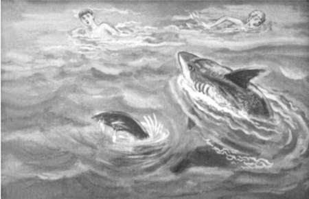 Л Н толстой акула