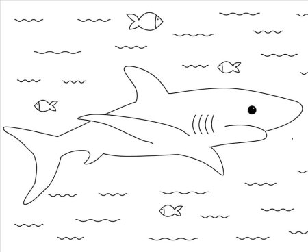 Лев толстой акула раскраска