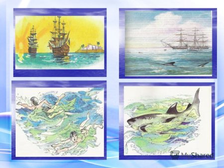 Л Н толстой акула