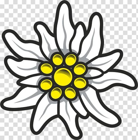 Эдельвейс цветок логотип