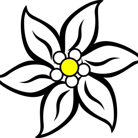 Эдельвейс цветок вектор