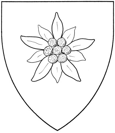 Эдельвейс цветок раскраска