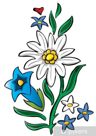 Эдельвейс мультяшки