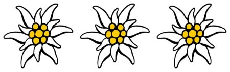 Эдельвейс стилизованный