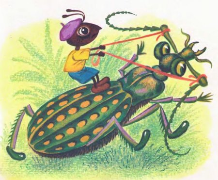 Жужелица раскраска для детей