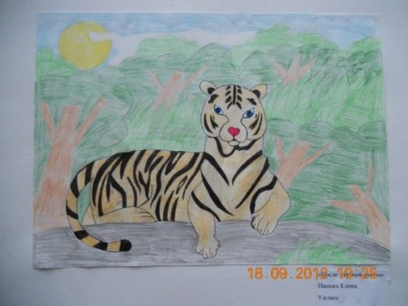 Рисунок на тему тигр