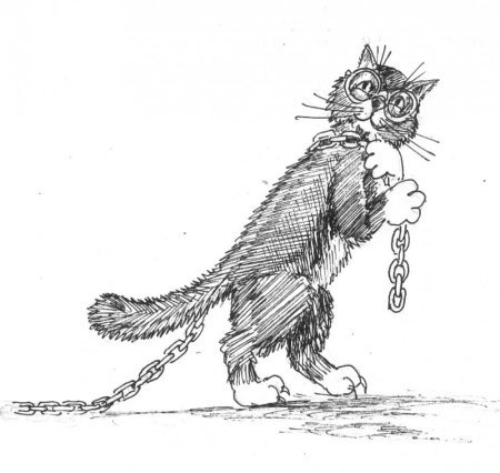 Кот ученый иллюстрации