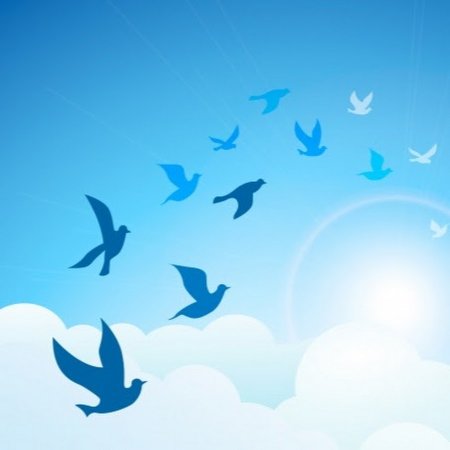 Птицы в небе рисунок