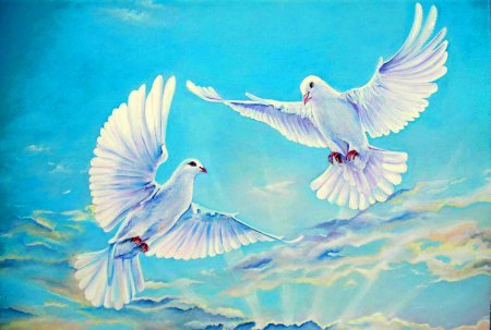 Два голубя в небе