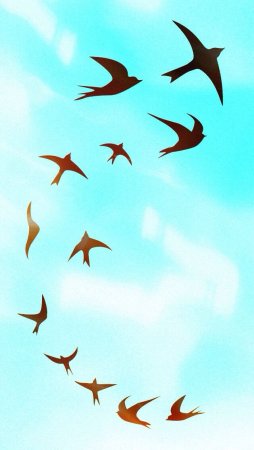 Ласточка птица в небе