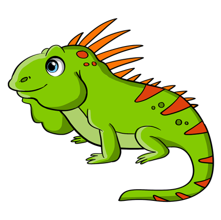 Iguana Flashcard
