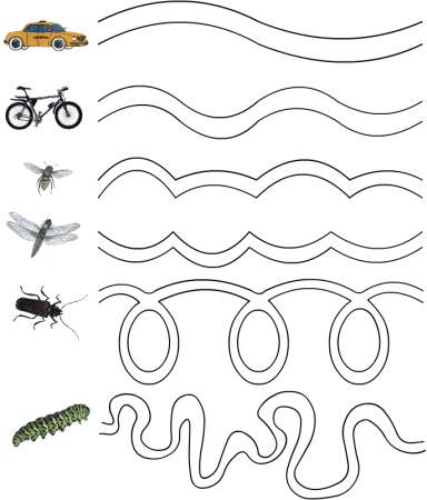 Графомоторные дорожки насекомые